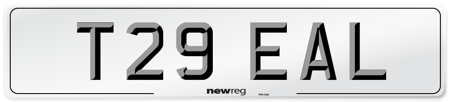T29 EAL Number Plate from New Reg